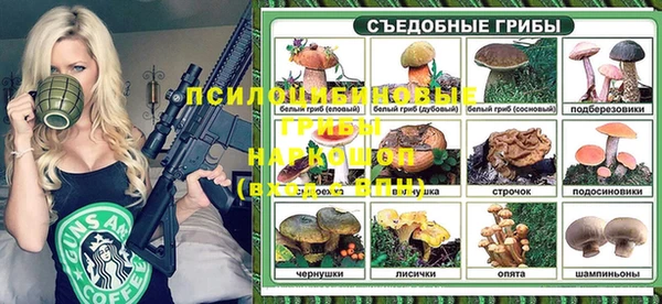 индика Гусиноозёрск