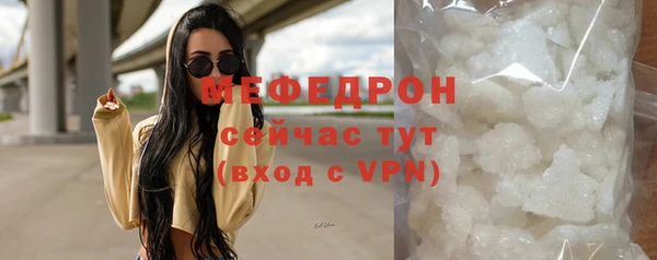 индика Гусиноозёрск
