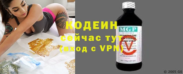индика Гусиноозёрск