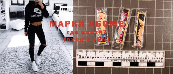 индика Гусиноозёрск