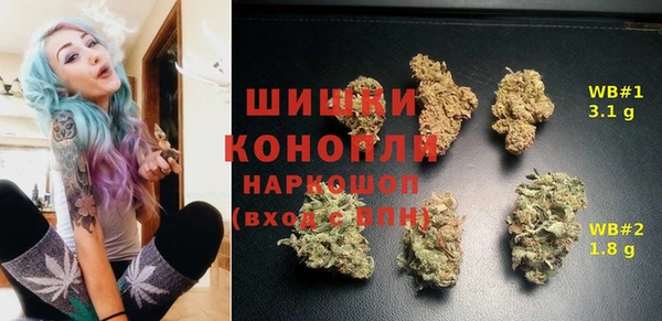 2c-b Горнозаводск