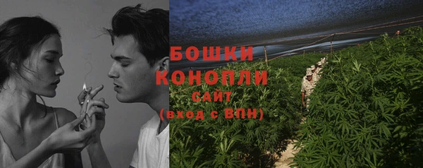 2c-b Горнозаводск