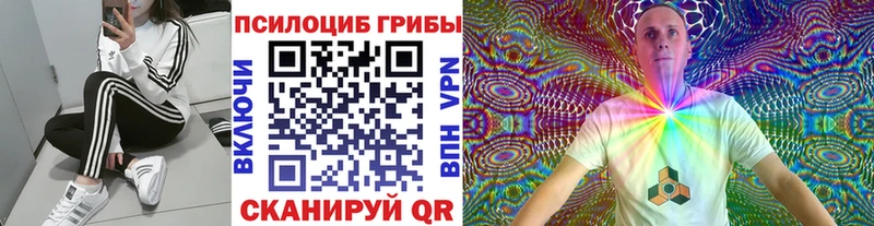 Купить  Лысьва  Псилоцибиновые грибы Psilocybe 
